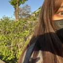 라이언드브로우