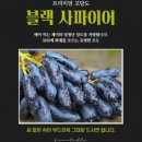 사파이어 | 블랙사파이어 포도 후기 및 효능 🍇✨