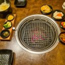 더돈하우스 | 대전시청맛집 애견 동반 가능한 둔산동 고기집 더돈하우스