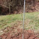 만년농장 이미지