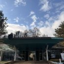 소노펠리체 빌리지 A~D 비발디파크 | 강원도 홍천 소노펠리체빌리지 비발디파크 N동 방문 후기