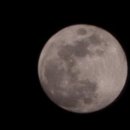 산호대로-41 이미지