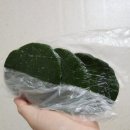 창표네 민박 네이버블로그