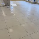 솔솔애견유치원 이미지