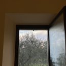 한국마트 | 이탈리아 신혼여행 DAY7 피렌체공항 허츠 렌트카 반납, 주유방법, 로마 한국식품마트 후기