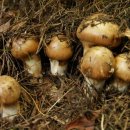 송이 어린이집 이미지