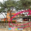 오렌지바다펜션 이미지