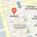 사단법인 부산의료선교회 세계로병원 이미지