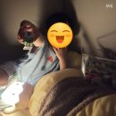 리치쌤과 소리영어 상상영어 | 알파블록스 피규어 내돈내산 효과 | 38개월 유아 영어 놀이 추천