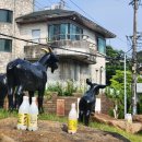 대천천누리길 화장실 이미지