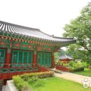 심원사 - 1771 | 심원사