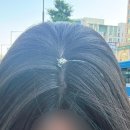 주택복권방 네이버블로그