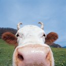 제일스크린골프 이미지