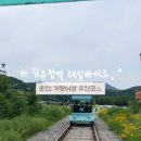 산이바이크 | 가평,춘천 김유정 레일바이크 후기 | 서울 근교 데이트 코스 추천 (+예약, 소요시간)