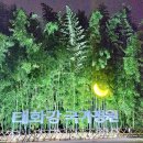 순천만 쉼표2 이미지