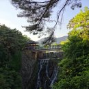 의림지-06 이미지