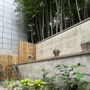 골드킹 PC방 | [전주 실내조경, 실외 조경] 전주 JTV 방송국 정원 식재 &amp; 방부목 울타리 시공 현장 후기 🌿