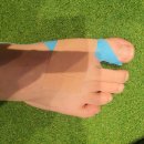 KOREA PT(코리아 피티) 이미지