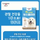다온바이오사이언스 | [일동펫 프렌즈 3기] 펫 건강을 1등으로, 일동펫을 소개합니다! (feat. 영양제 4종 소개)