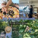 [밀양여행] 밀양 아이랑 갈만한곳 밀양카페 밀양 블루베리체험 밀양 열매가푸른날 내돈내산 재방문 후기