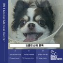 봉선아이동물메디컬센터 이미지