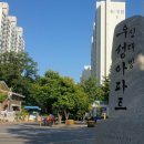 바른성심약국 이미지