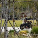 유유자적 이미지