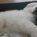 한일방화문 네이버블로그