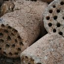 남선농장 이미지