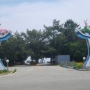 울진부동산공인중개사사무소 네이버블로그