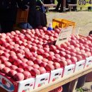 부석사관광지 이미지