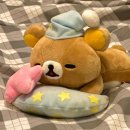 뉴평화치과기공소 | 페이지마다 가득 채우자