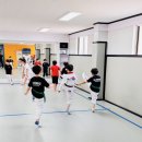 위너 태권도 네이버블로그