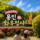 풍경 | 용인 와우정사 아이랑 다녀온 후기｜봄 풍경이 예뻤던 이색 사찰