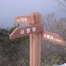 장성중앙초등학교 이미지