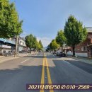 사림동143 이미지