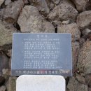 명월 팽나무군락 이미지