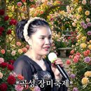 곡성-252 Daum카페