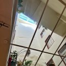 이탈리아 여행+ 문화+ 언어 탐험 | [이탈리아 북부 여행] 볼차노 맛집 추천 | Wirtshaus Vögele 미쉐린 레스토랑 남티롤 전통 요리 후기