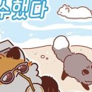 뭉치쌀롱 이미지