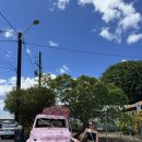 오하나푸드 | 하와이 2일차(3) : 카우아이 하나페프 마을, 스윙브릿지, 스티치 벽화, 포포스 쿠키, 맛집 추천