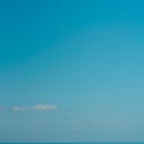 신제주동물약국 | 제주한달살기_1주차🍊 (선적한 차 찾기, 월정리 카페, 제주현대미술관, 카페 헛간, 우진제비오름)