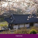 모과나무집 | 평화동1가민박 모과나무집 분위기 좋은 독채 숙소에서 바베큐 파티 즐기기 좋은 곳의 찾아가는 길