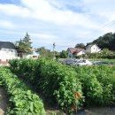 진중1리 이미지