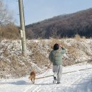 소망축산 | 파주 카라(KARA) 유기견 보호소 봉사활동 후기 (with 정건주배우)