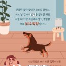 더힐동물병원 이미지