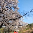 어반라운지 이미지