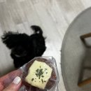 댕쓰마켓 | 부산애견수제간식/ 광안리애견동반 “댕쓰마켓” 김가루 견생맛집 등극