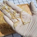 중가상회 이미지