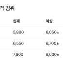 법인신형
